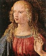 LEONARDO da Vinci Annunciation (detail) dfe Sweden oil painting artist
